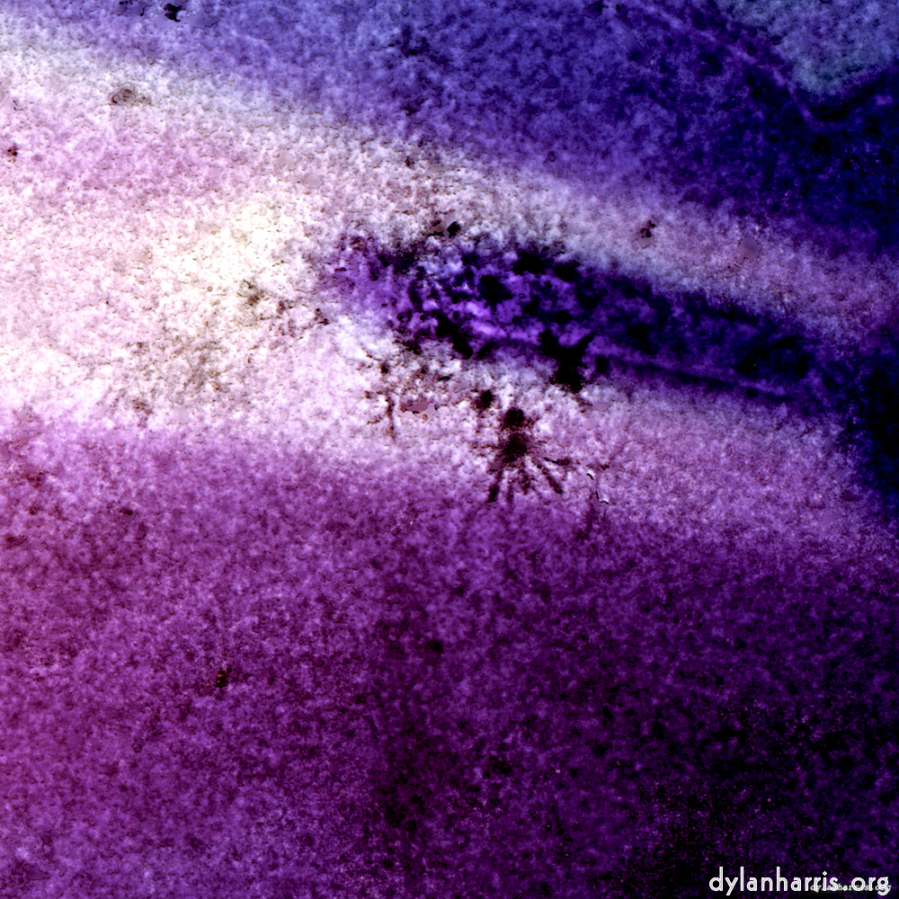 image: This is &lsquo;damage (vi) 7&rsquo;.