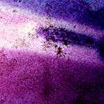 image: Image from the photoset &lsquo;damage (vi)&rsquo;.