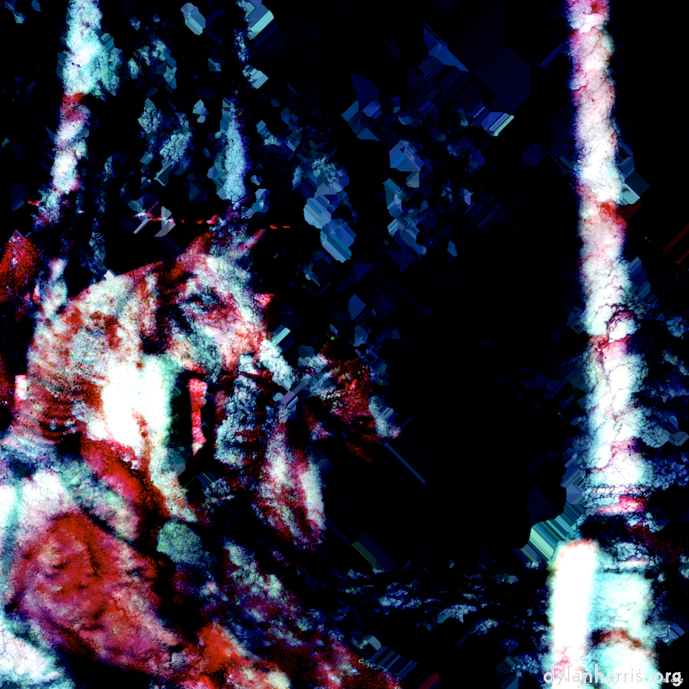 image: Heir ist &lsquo;damage (viii) 5&rsquo;.