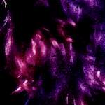 image: Image vum photoset <<damage (viii)>>.