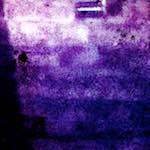 image: Image vum photoset <<damage (viii)>>.