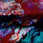 image: Image vum photoset <<damage (viii)>>.