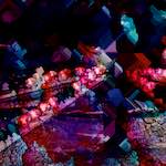 image: Image vum photoset <<damage (viii)>>.