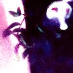 image: Image from the photoset &lsquo;damage (ix)&rsquo;.