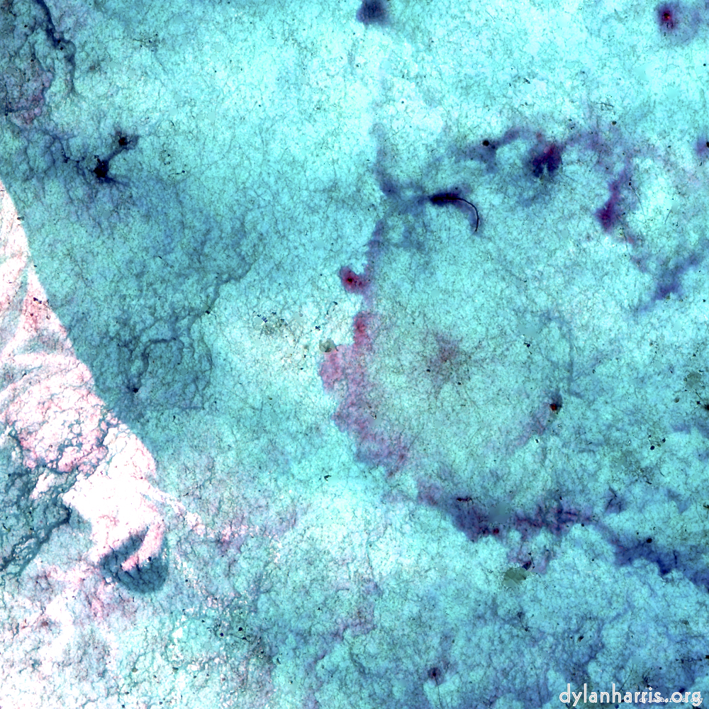 image: This is &lsquo;damage (xiii) 7&rsquo;.