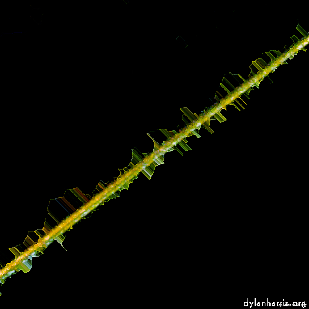 image: This is &lsquo;damage (clxvi) 6&rsquo;.