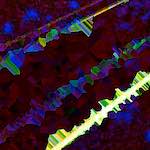 image: Image from the photoset &lsquo;damage (clxvi)&rsquo;.