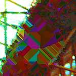 image: Image from the photoset &lsquo;damage (clxxi)&rsquo;.