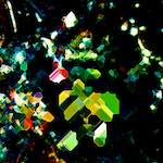 image: Image from the photoset &lsquo;damage (clxxvi)&rsquo;.