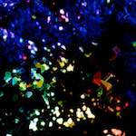image: Image from the photoset &lsquo;damage (clxxvi)&rsquo;.