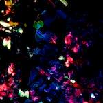 image: Image from the photoset &lsquo;damage (clxxvi)&rsquo;.