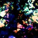image: Image from the photoset &lsquo;damage (clxxvi)&rsquo;.