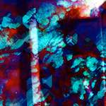 image: Image from the photoset &lsquo;damage (xxvii)&rsquo;.