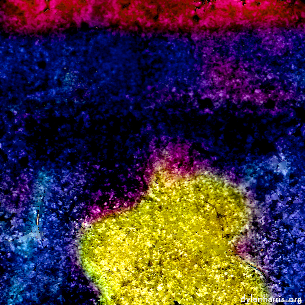 image: Voici &lsquo;damage (xliv) 4&rsquo;.