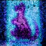 image: Image from the photoset &lsquo;damage (xliv)&rsquo;.