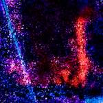 image: Image from the photoset &lsquo;damage (xlvi)&rsquo;.