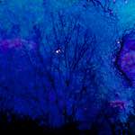 image: Image from the photoset &lsquo;damage (li)&rsquo;.
