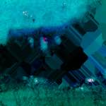 Fourth image from the photoset 'damage (lii)'.