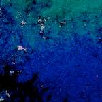 Sixth image from the photoset 'damage (lviii)'.
