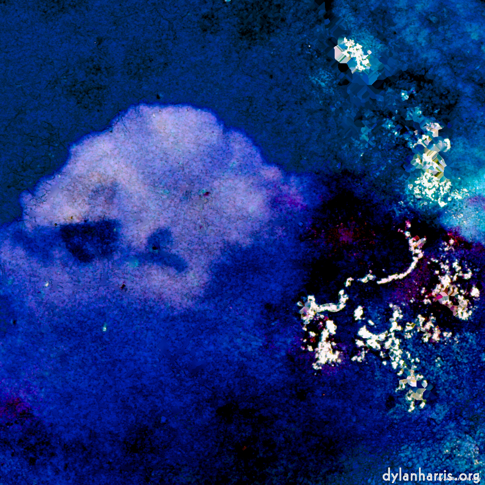 image: This is &lsquo;damage (lxv) 5&rsquo;.