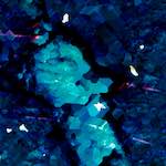 image: Image from the photoset &lsquo;damage (lxxvii)&rsquo;.