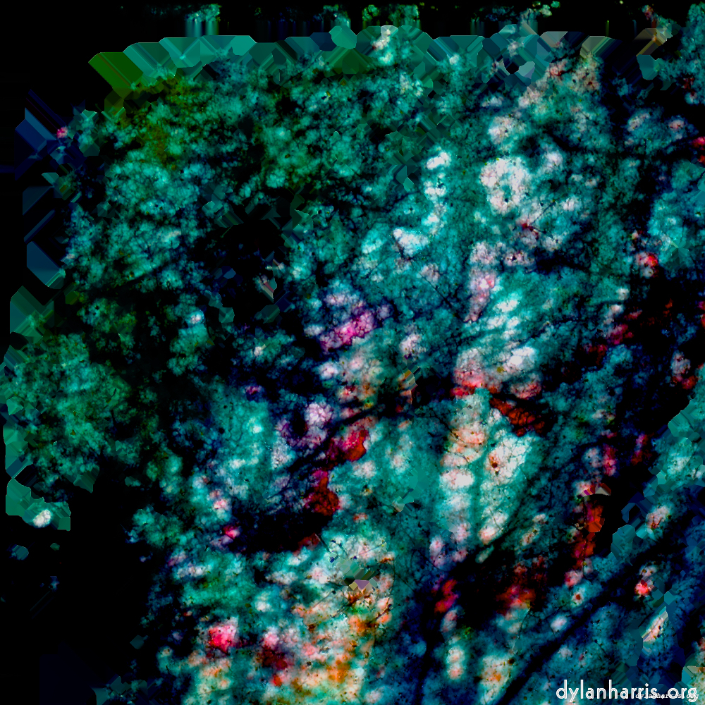 image: This is &lsquo;damage (lxxix) 1&rsquo;.
