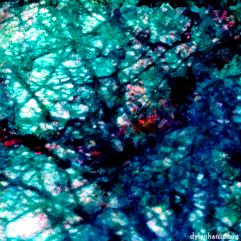 image: This is &lsquo;damage (lxxix) 3&rsquo;.