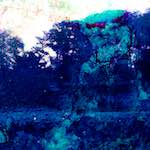 image: Image from the photoset &lsquo;damage (lxxxv)&rsquo;.