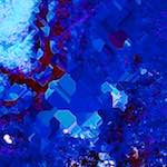 image: Image from the photoset &lsquo;damage (lxxxviii)&rsquo;.