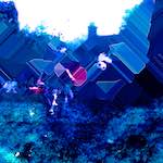 image: Image from the photoset &lsquo;damage (xcv)&rsquo;.