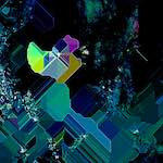 image: Image from the photoset &lsquo;damage (cxlii)&rsquo;.