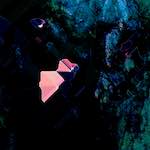 image: Image from the photoset &lsquo;damage (cil)&rsquo;.