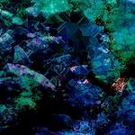 image: Image from the photoset &lsquo;damage (cl)&rsquo;.