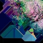 image: Image from the photoset &lsquo;damage (cliii)&rsquo;.
