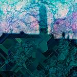 image: Image from the photoset &lsquo;damage (clvi)&rsquo;.