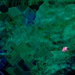image: Image from the photoset &lsquo;damage (clxi)&rsquo;.