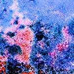 image: Image from the photoset &lsquo;damage (cclix)&rsquo;.