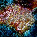 image: Image from the photoset &lsquo;damage (cclx)&rsquo;.