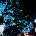 image: Image from the photoset &lsquo;damage (cclx)&rsquo;.