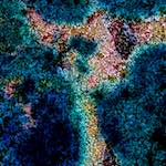 image: Image from the photoset &lsquo;damage (cclx)&rsquo;.
