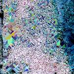 image: Image from the photoset &lsquo;damage (cclx)&rsquo;.