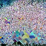 image: Image from the photoset &lsquo;damage (cclx)&rsquo;.