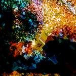 First image from the photoset 'damage (cclxii)'.