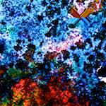 Sixth image from the photoset 'damage (cclxii)'.