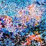 Eighth image from the photoset 'damage (cclxii)'.