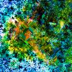 Ninth image from the photoset 'damage (cclxii)'.