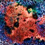 image: Image from the photoset &lsquo;damage (cclxv)&rsquo;.