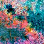 image: Image from the photoset &lsquo;damage (cclxv)&rsquo;.