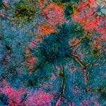 image: Image from the photoset &lsquo;damage (cclxv)&rsquo;.