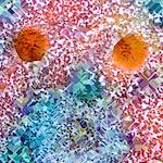 image: Image from the photoset &lsquo;damage (cclxxxii)&rsquo;.